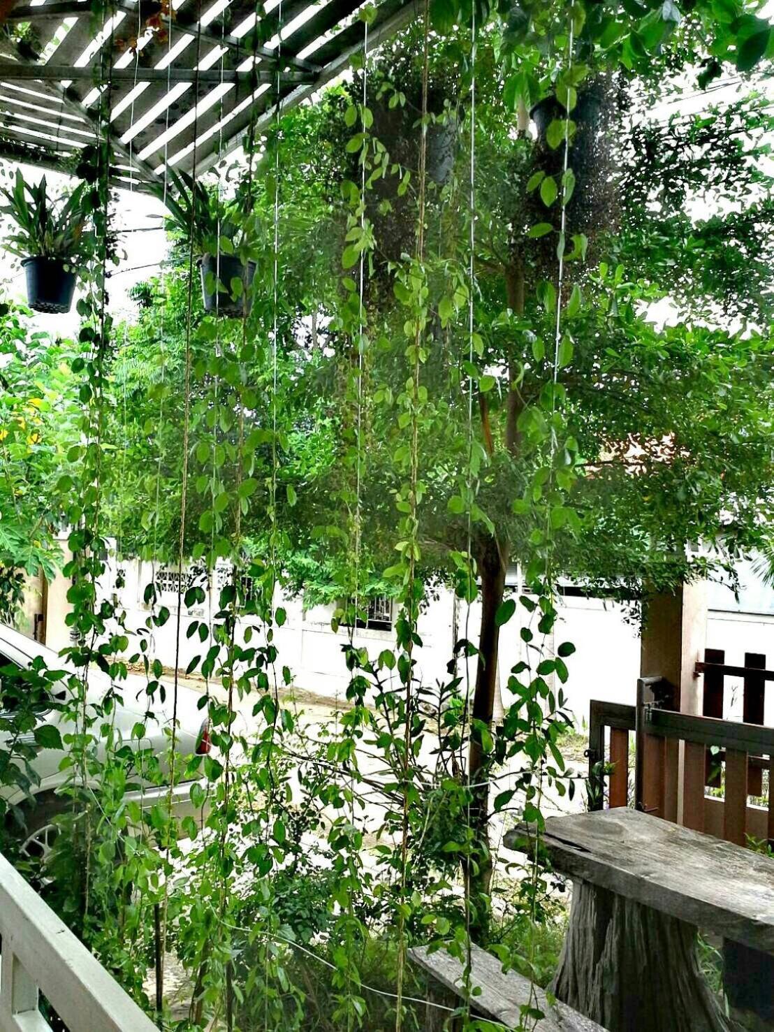 Lampang Lanna Home Exterior foto